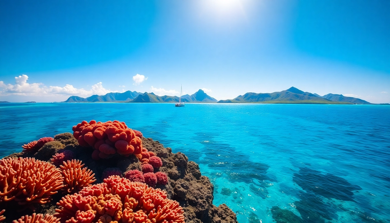 Witness the vibrant coral reefs of Australia shimmering under the clear blue sky.